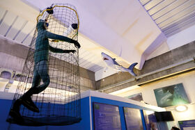 Valpiana acquario.jpg