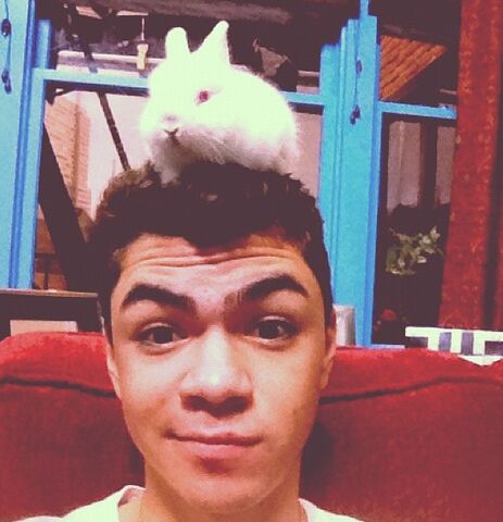 File:AdamIrigoyen2013.jpg