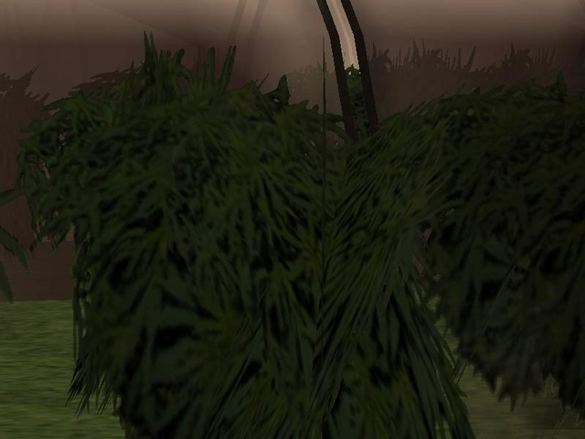 File:Untitled.png