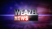 Weazel News.png