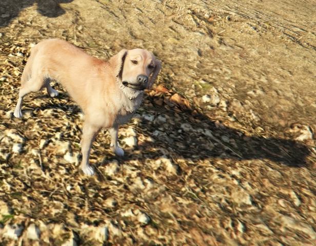 File:Ghost Dog GTAVe Shadow.png