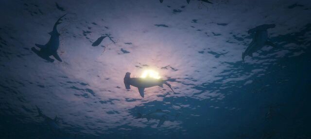 File:Sharks-GTAV-nextgen.jpg
