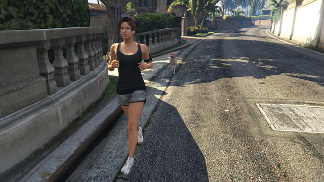 File:Rosalind-GTAV-Retreiver.png