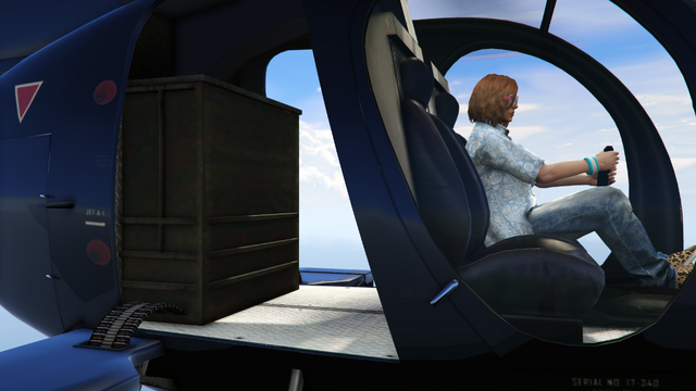 File:BuzzardAttackChopper-GTAV-insideView.png