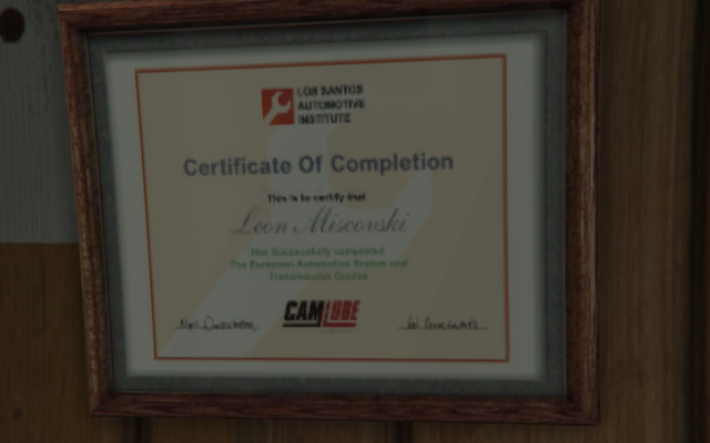 File:Leon Miscovski-GTAV-Mechanic Cert.png
