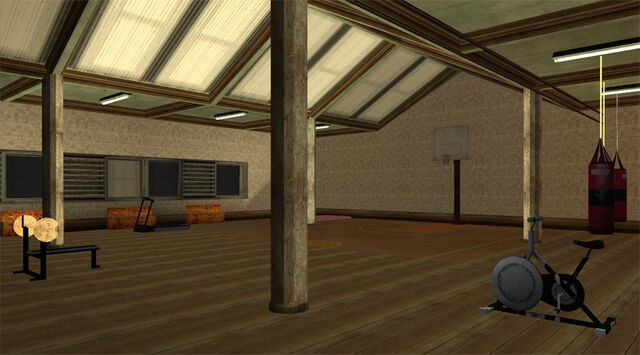 File:MaddDogg'sCrib-GTASA-gym.jpg