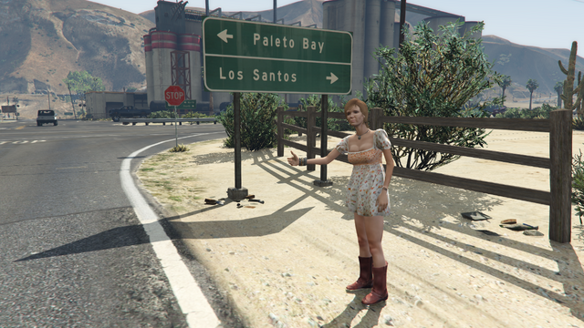 File:GirlHitchhiking-GTAV-Pickup.png