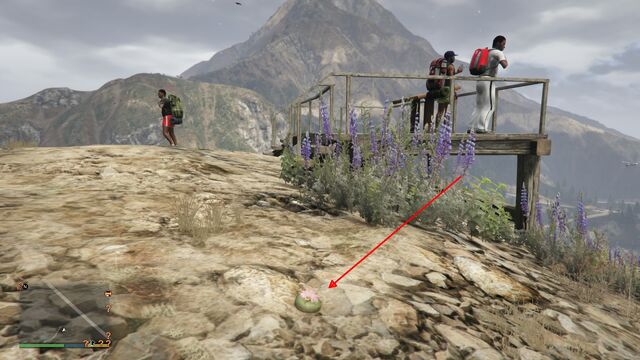File:Peyote Plants GTAVe 07 Raton AlamoView View.jpg