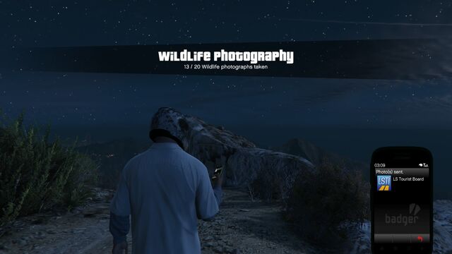File:Wildlife Photography Challenge GTAVe Mountain Lion.jpg