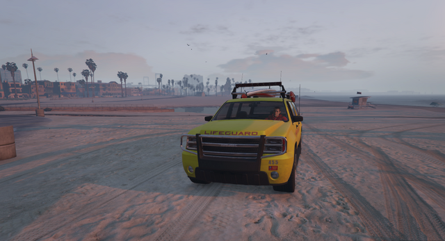 File:Lifeguard-GTAV-BeachPatrol.png