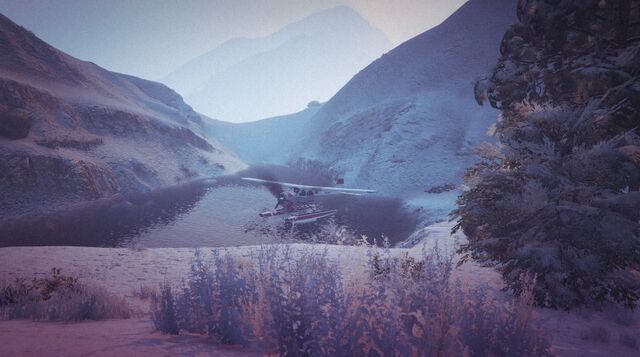 File:DodoSeaplane-Mortsnarg-GTAV.jpg