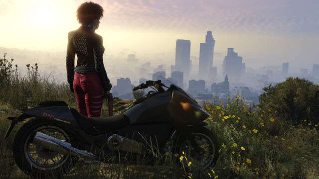 File:Vindicator-Screenshot-GTAV.jpg