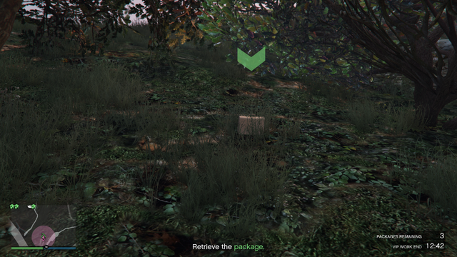 File:Sightseer-GTAO-PackageLocation17.png