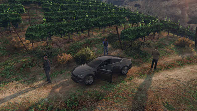 File:Water the Vineyard-GTAO-Judge.png