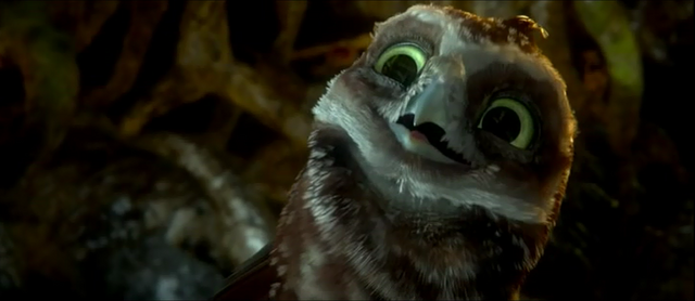 File:DiggerOwlsofGahooleCap.png