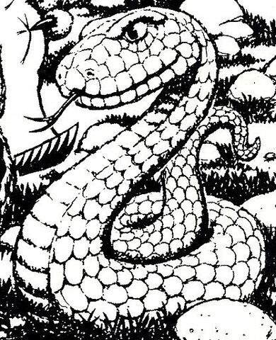 File:Hoke of hock.jpg