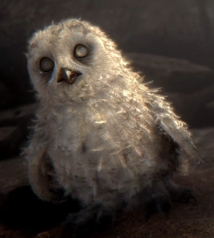 File:Moonblinkedd.png
