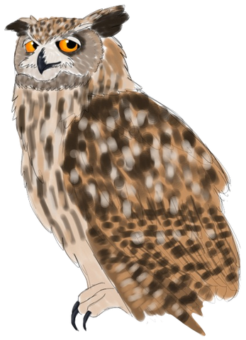 File:Eagleowldrawingstock.png