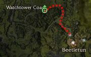Embedded Arrowhead.jpg