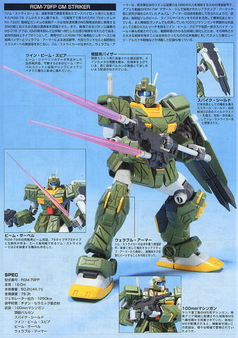 File:HG GM Striker0.jpg