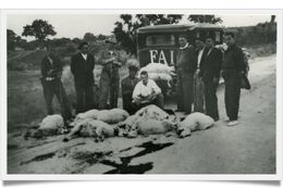 Ala31.jpg