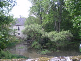 A1200.jpg