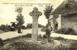 Alp13.jpg