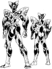 Purgstall Zoalord