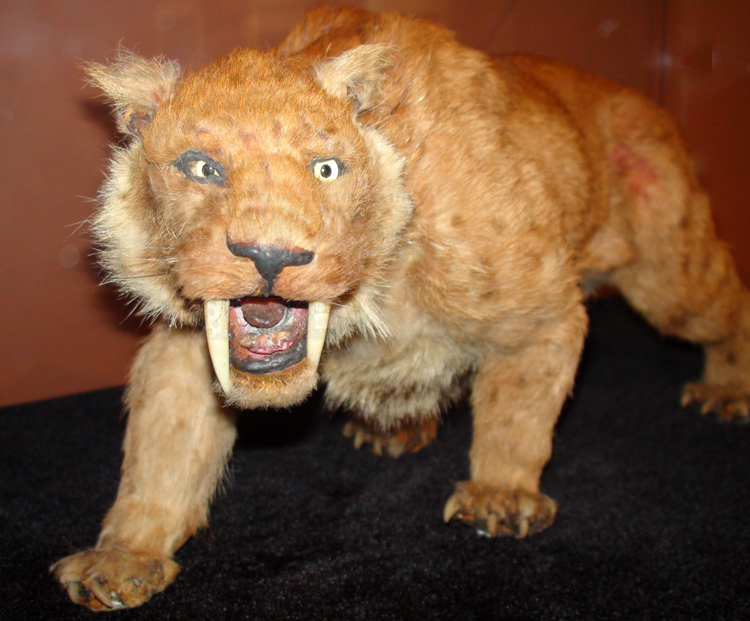 Saber -Tooth Tiger | Ray Harryhausen's Creatures Wiki | FANDOM powered