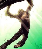 Młody Chewbacca.jpg