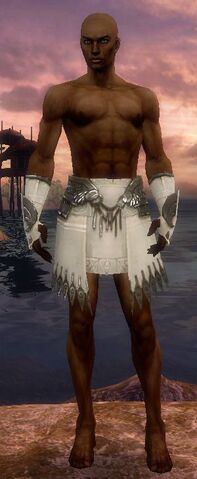 File:Paragon Vabbian Armor M gray arms legs front.jpg