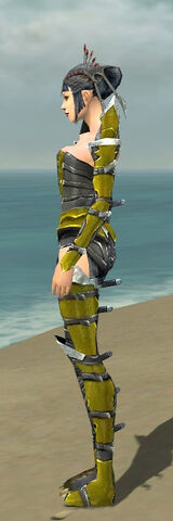 File:Necromancer Profane Armor F dyed side.jpg