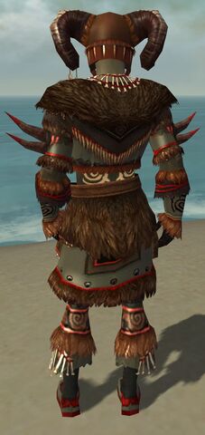 File:Ritualist Norn Armor M gray back.jpg