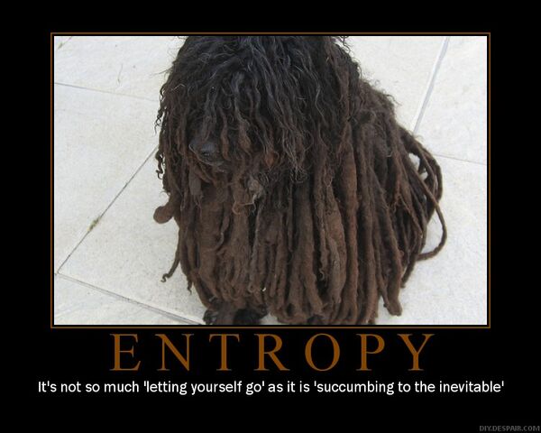 File:Entropy motivator-5070.jpg