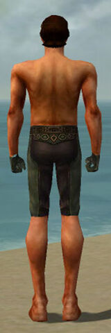 File:Mesmer Ancient Armor M gray arms legs back.jpg