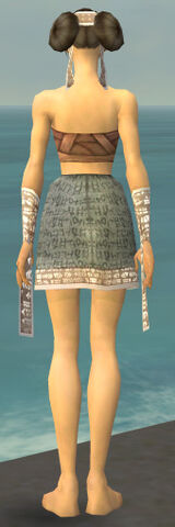 File:Monk Woven Armor F gray arms legs back.jpg