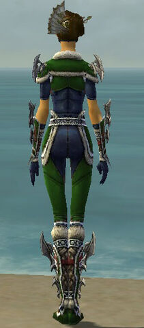 File:Assassin Norn Armor F dyed back.jpg