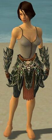 File:Warrior Elite Luxon Armor F gray arms legs front.jpg