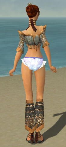 File:Elementalist Vabbian Armor F gray chest feet back.jpg