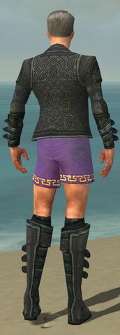 File:Mesmer Elite Rogue Armor M gray chest feet back.jpg