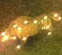 Celestial Dog
