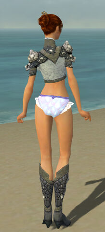 File:Elementalist Stoneforged Armor F gray chest feet back.jpg