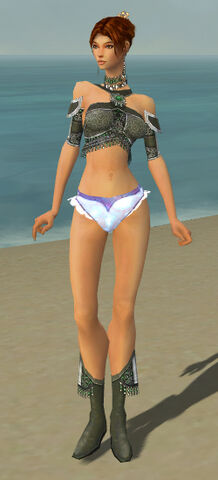 File:Elementalist Elite Luxon Armor F gray chest feet front.jpg