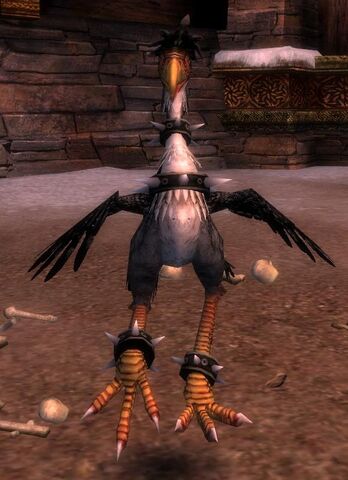 File:Onyx (pet).jpg