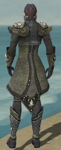 File:Elementalist Elite Stoneforged Armor M gray back.jpg