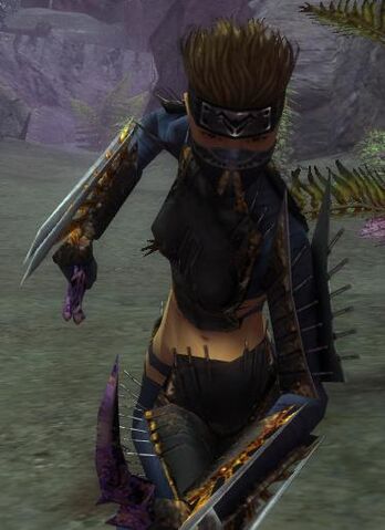File:Xiaou of Torins.jpg