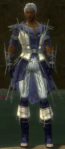 File:Elementalist Primeval Armor M dyed front.jpg