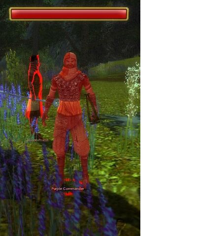 File:Commander (Fort Aspenwood).jpg