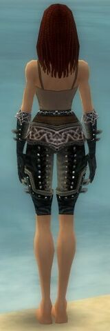 File:Ranger Elite Kurzick Armor F gray arms legs back.jpg
