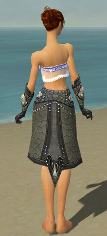 File:Elementalist Elite Stoneforged Armor F gray arms legs back.jpg